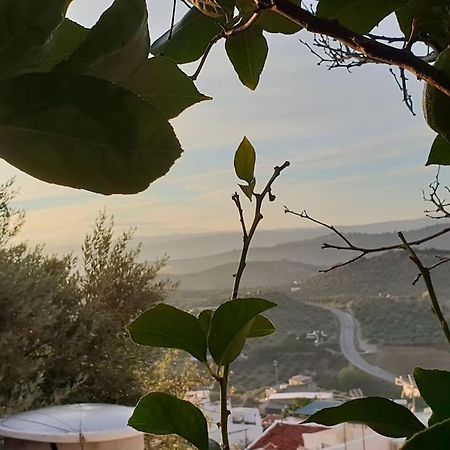 Mirador Del Olivar Олвера Екстериор снимка
