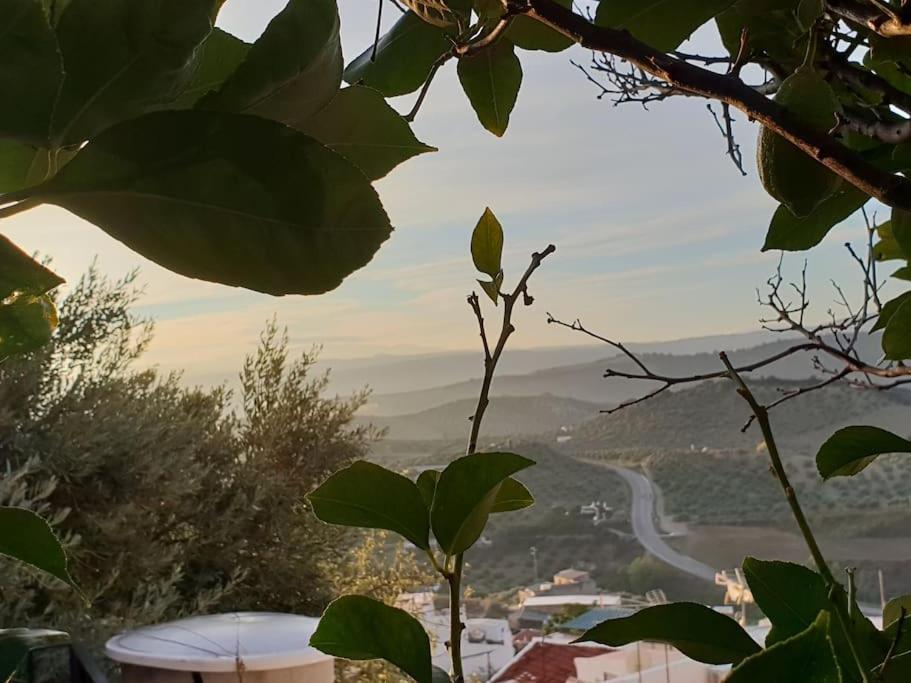 Mirador Del Olivar Олвера Екстериор снимка
