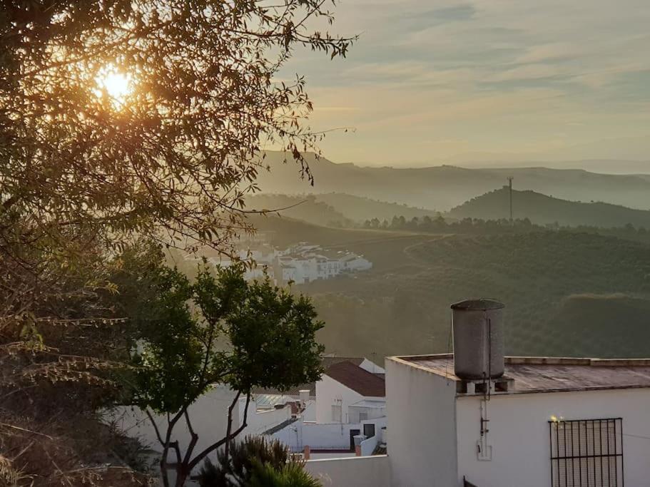 Mirador Del Olivar Олвера Екстериор снимка